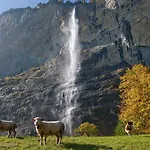 캠프장 Jungfrau 라우터브루넨