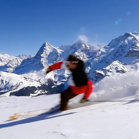 Campsite Jungfrau 2*