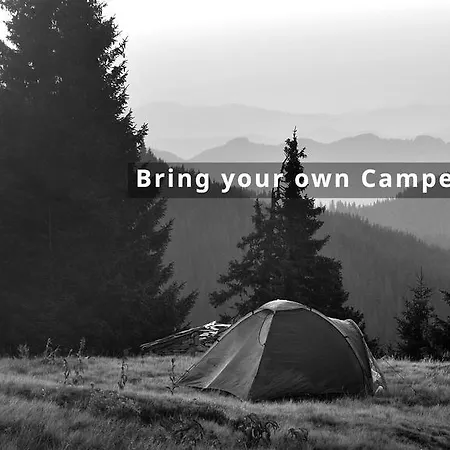 Campsite Jungfrau 2*