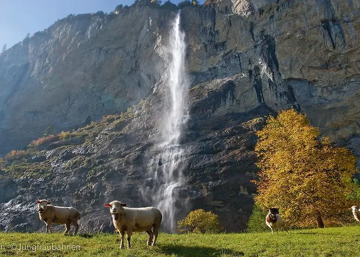 营地 Jungfrau 劳特布龙嫩