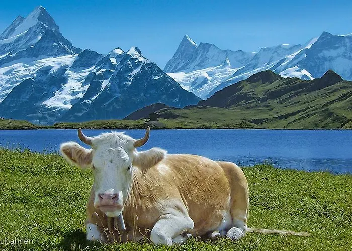 Jungfrau 营地