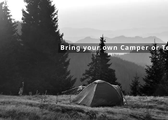 Campsite Jungfrau 2*