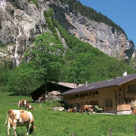 Jungfrau 2*
