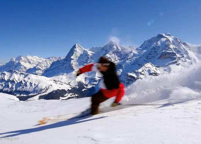 Parque de Campismo Jungfrau 2*